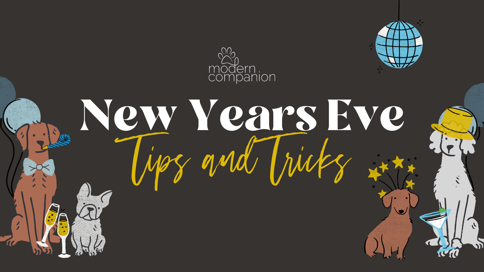 New Years Eve Tips and Tricks for Pet Parents - Modern Companion