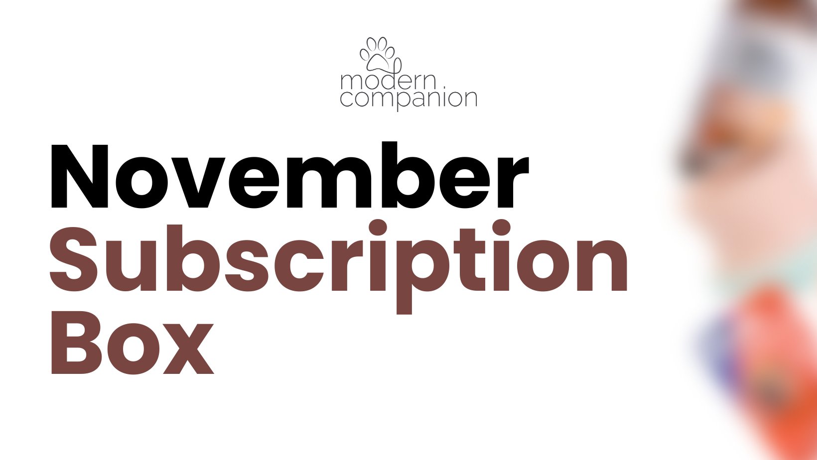 What was in our November dog subscription box? - Modern Companion