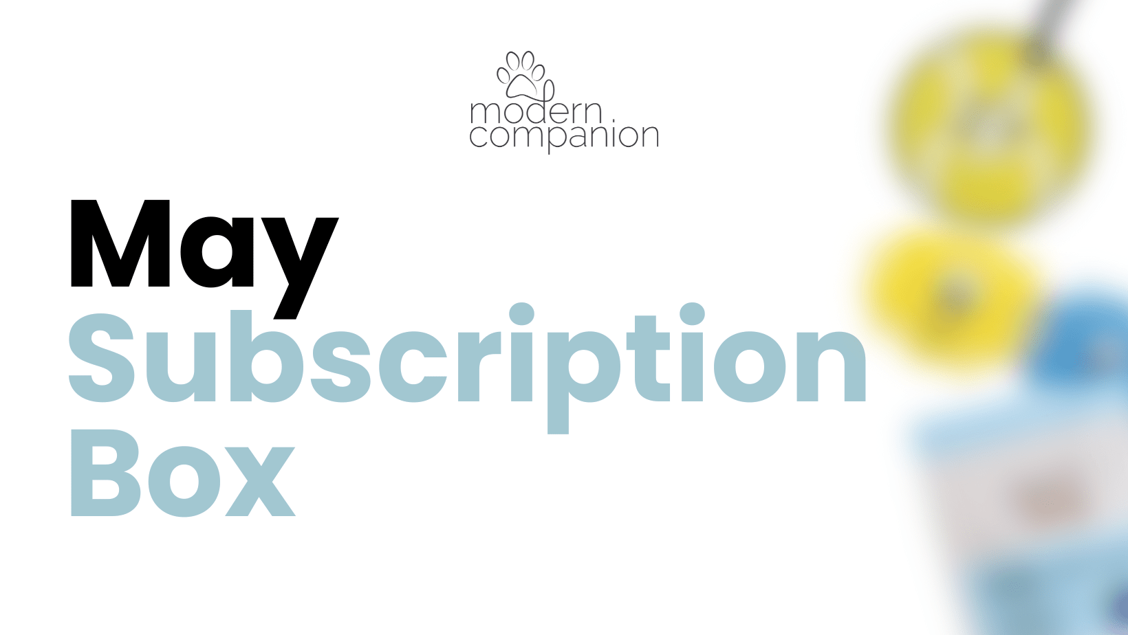 What was in the May Modern Companion Subscription Box - Modern Companion