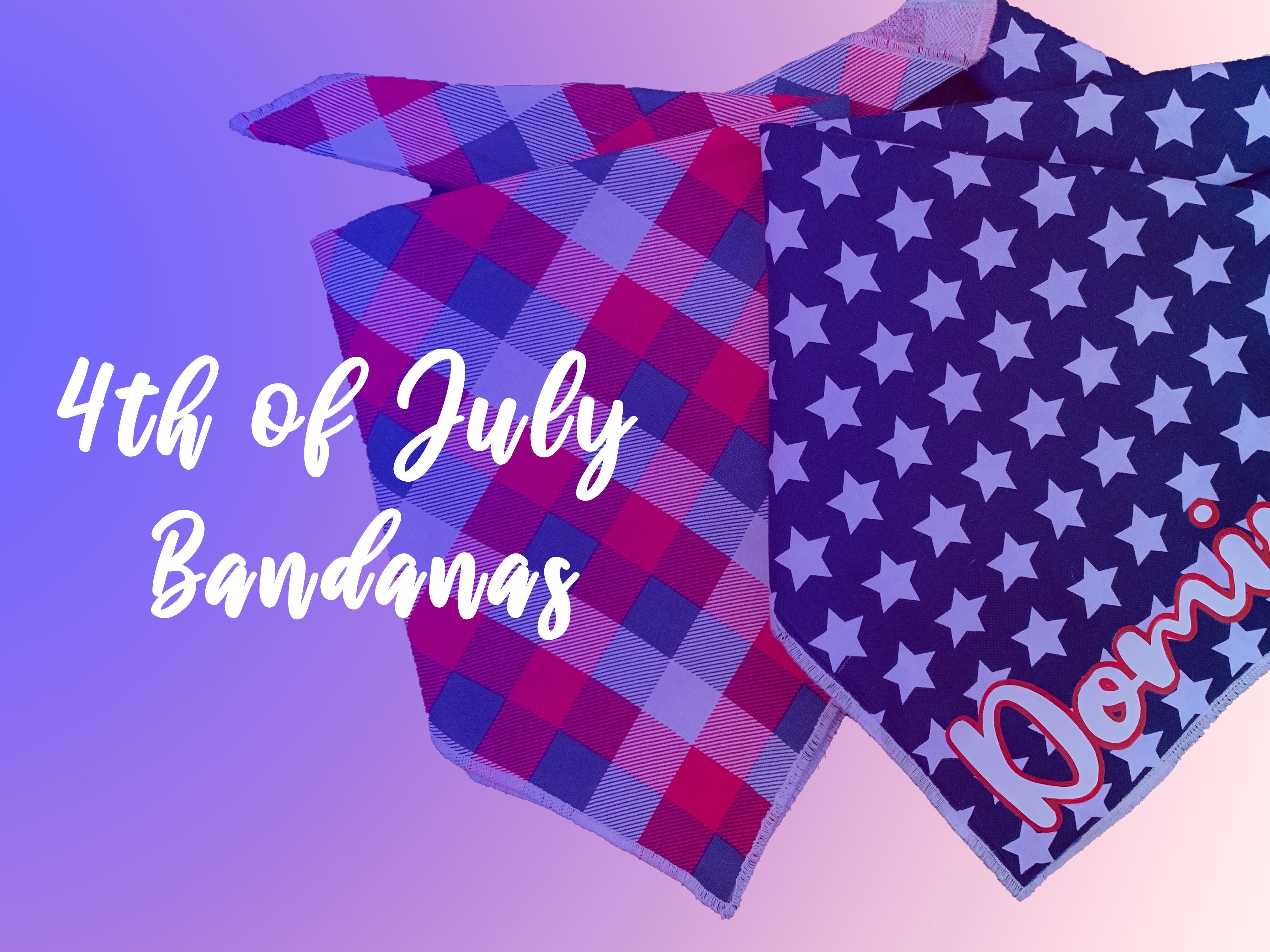 4th of July | Modern Companion