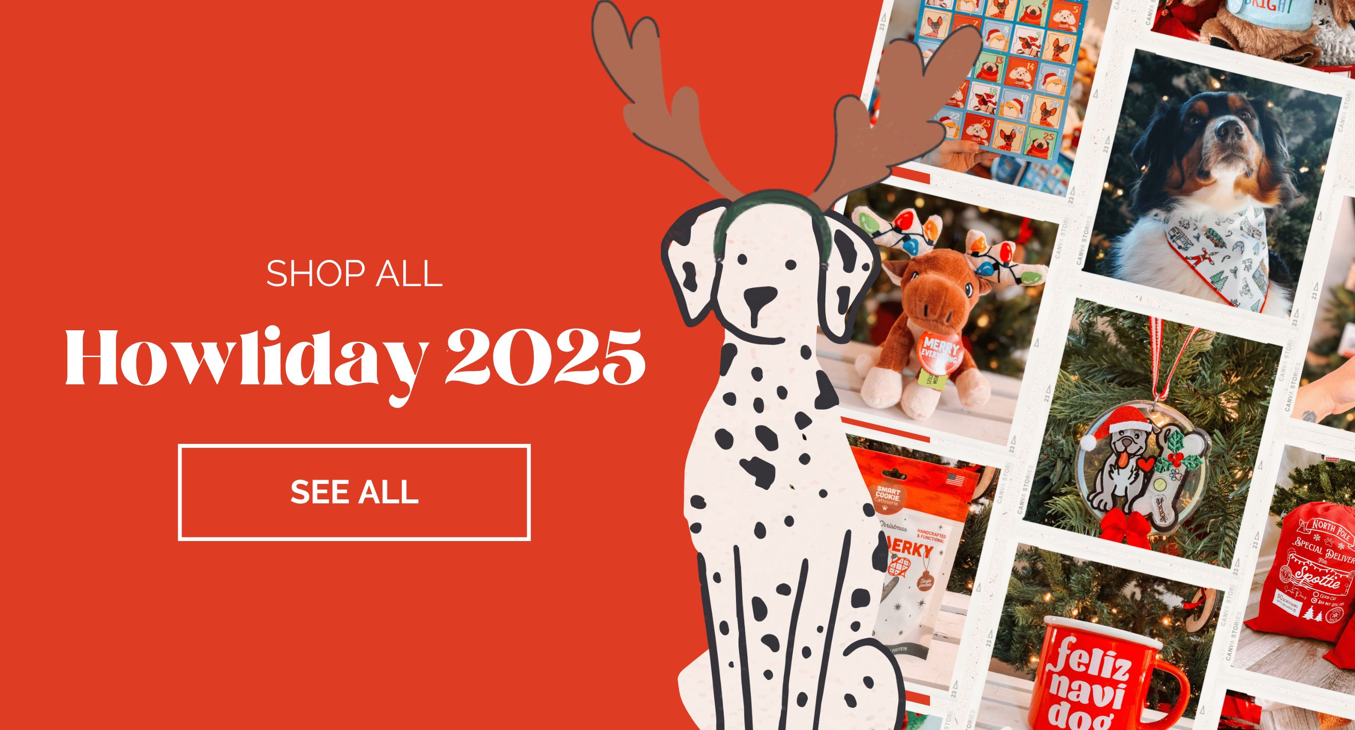 Holiday 2025 - Modern Companion