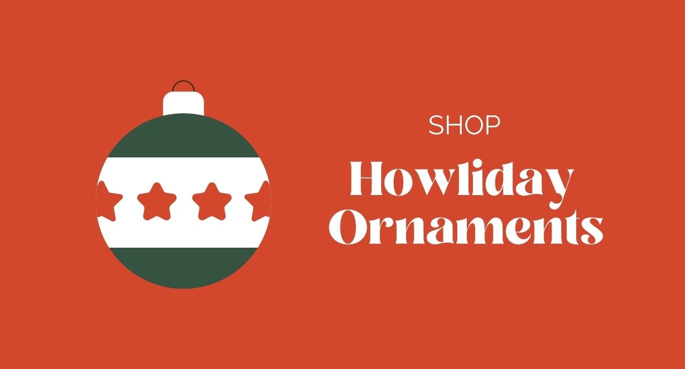 Holiday Ornaments - Modern Companion