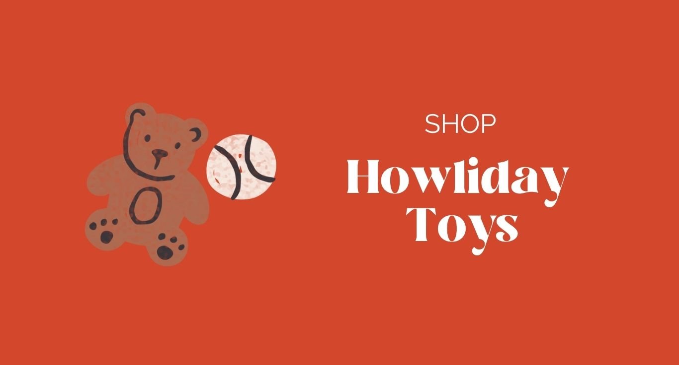 Holiday Toys - Modern Companion