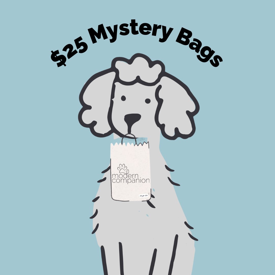 $25 Mystery Bag - Modern Companion