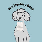 $25 Mystery Bag - Modern Companion