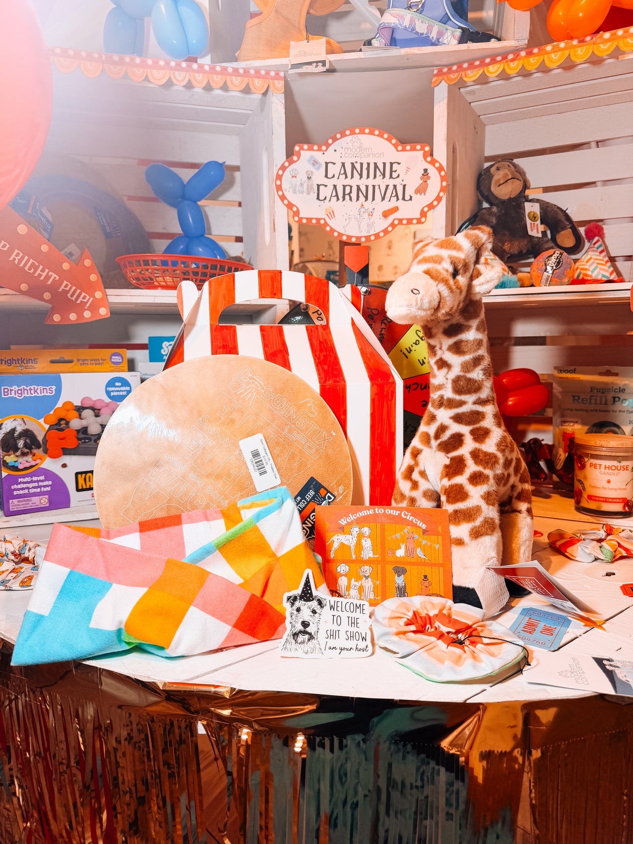 The Canine Carnival Box
