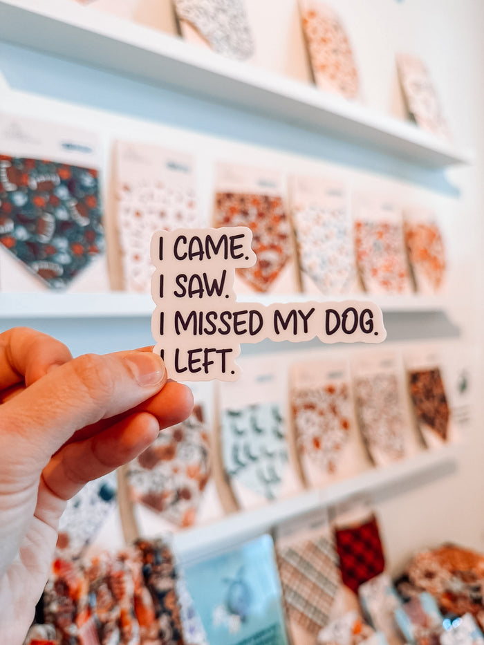 I Came. I Saw. I missed My dog. Sticker