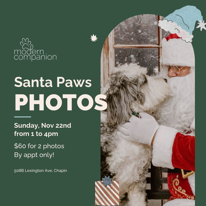 Santa Paws Photos at Modern Companion 2026