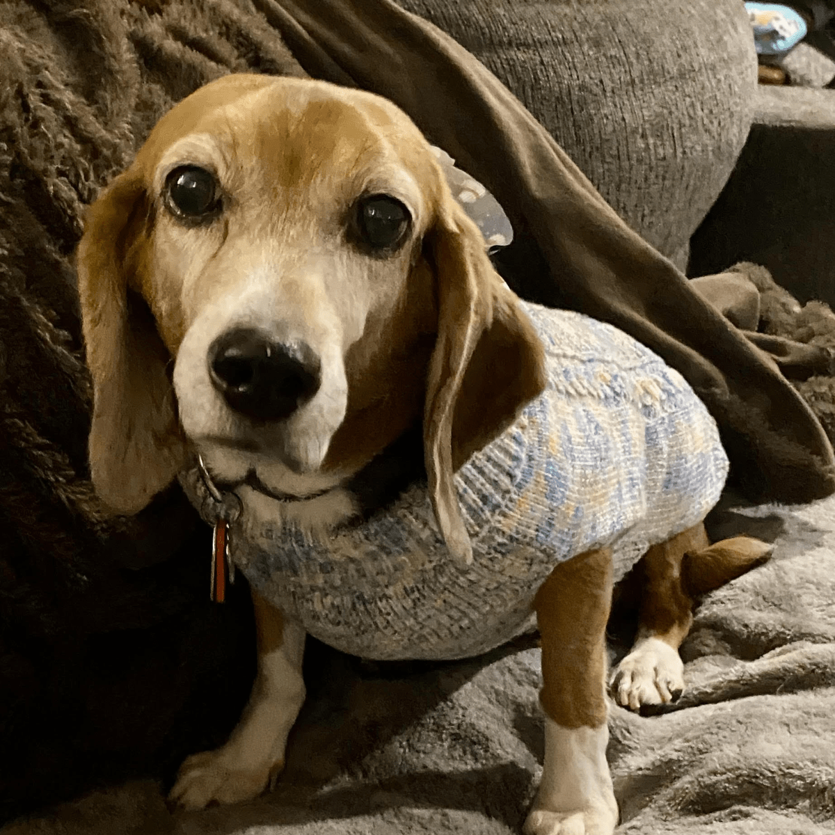 Angel Tree: Bonnie - Modern Companion