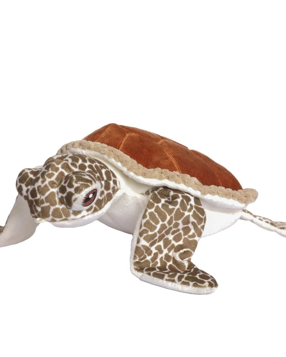 Animated Sea Turtle - Modern Companion