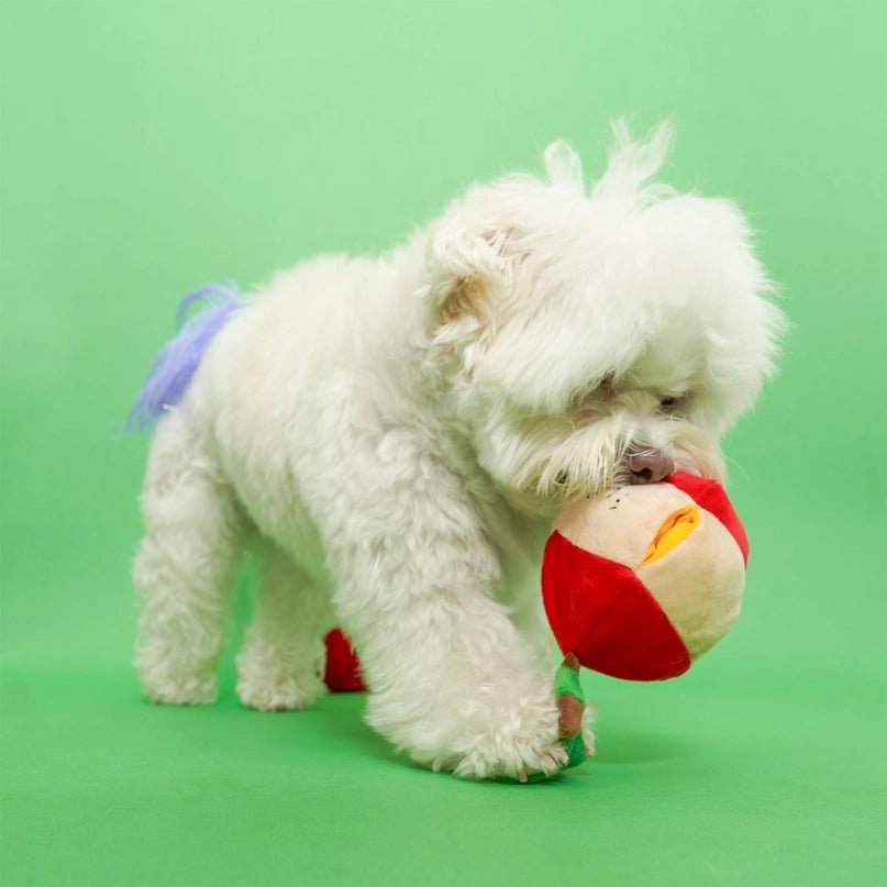 Apple Nosework Toy - Modern Companion