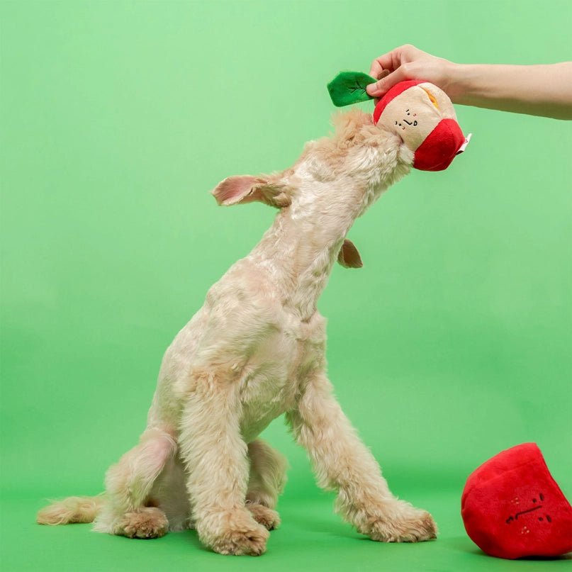 Apple Nosework Toy - Modern Companion