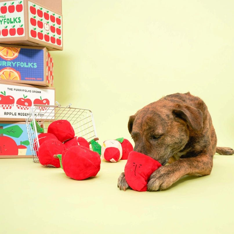 Apple Nosework Toy - Modern Companion