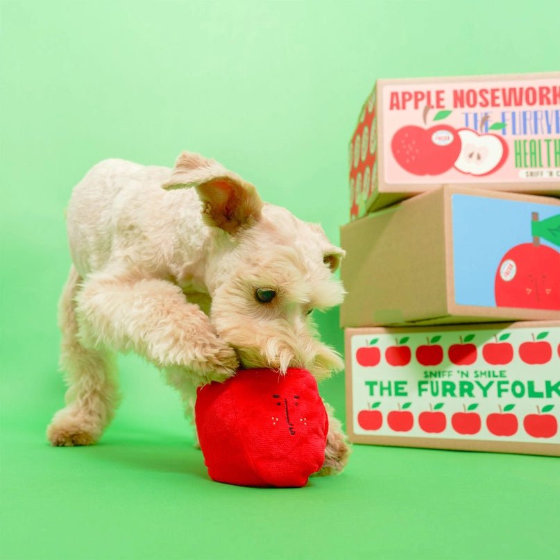 Apple Nosework Toy - Modern Companion