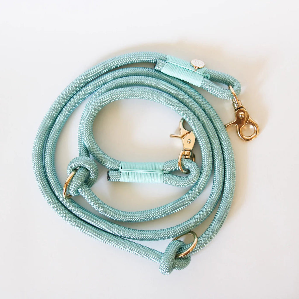 Aqua Hands Free Rope Leash - Modern Companion