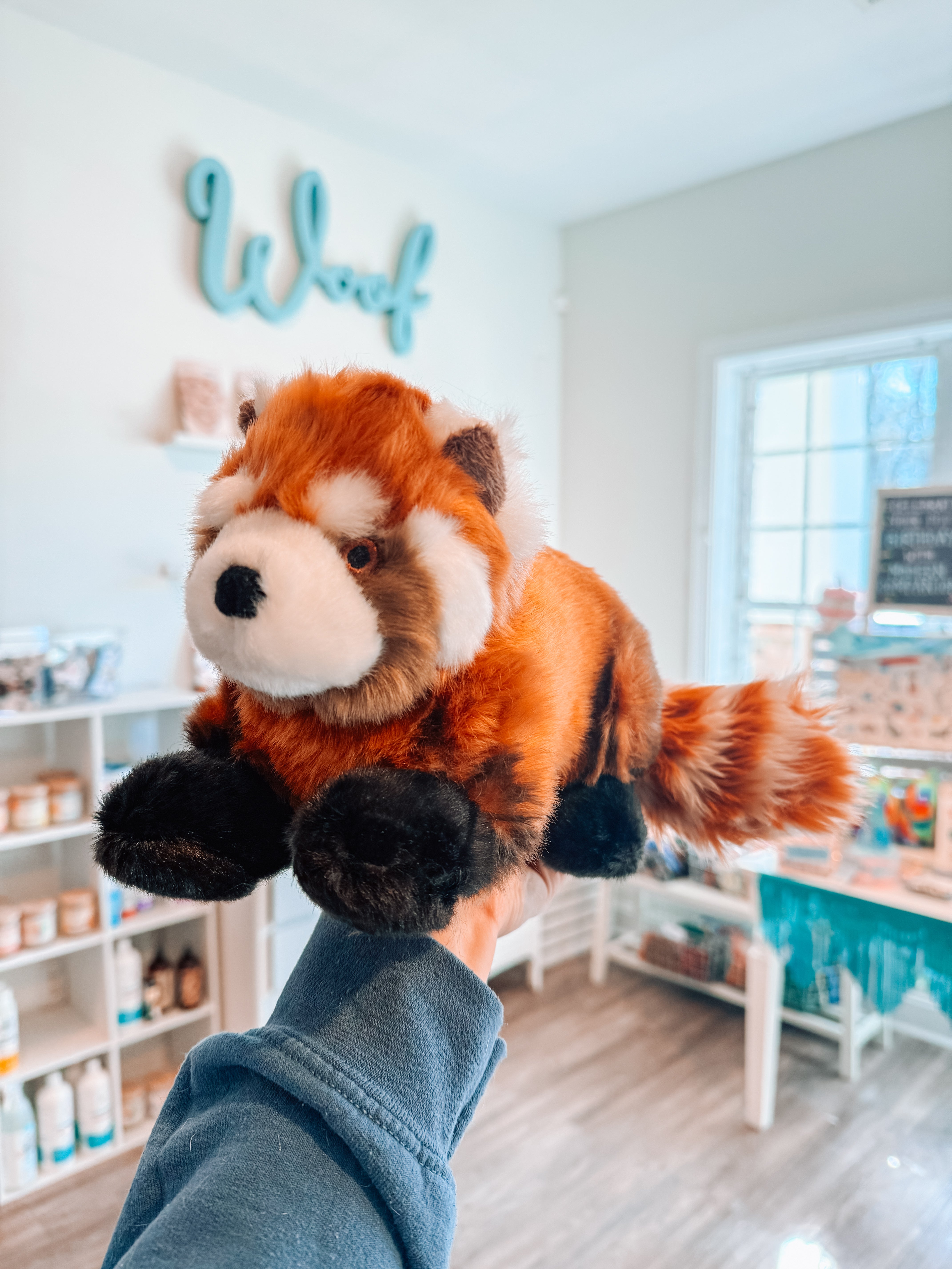 Archie Red Panda - Modern Companion