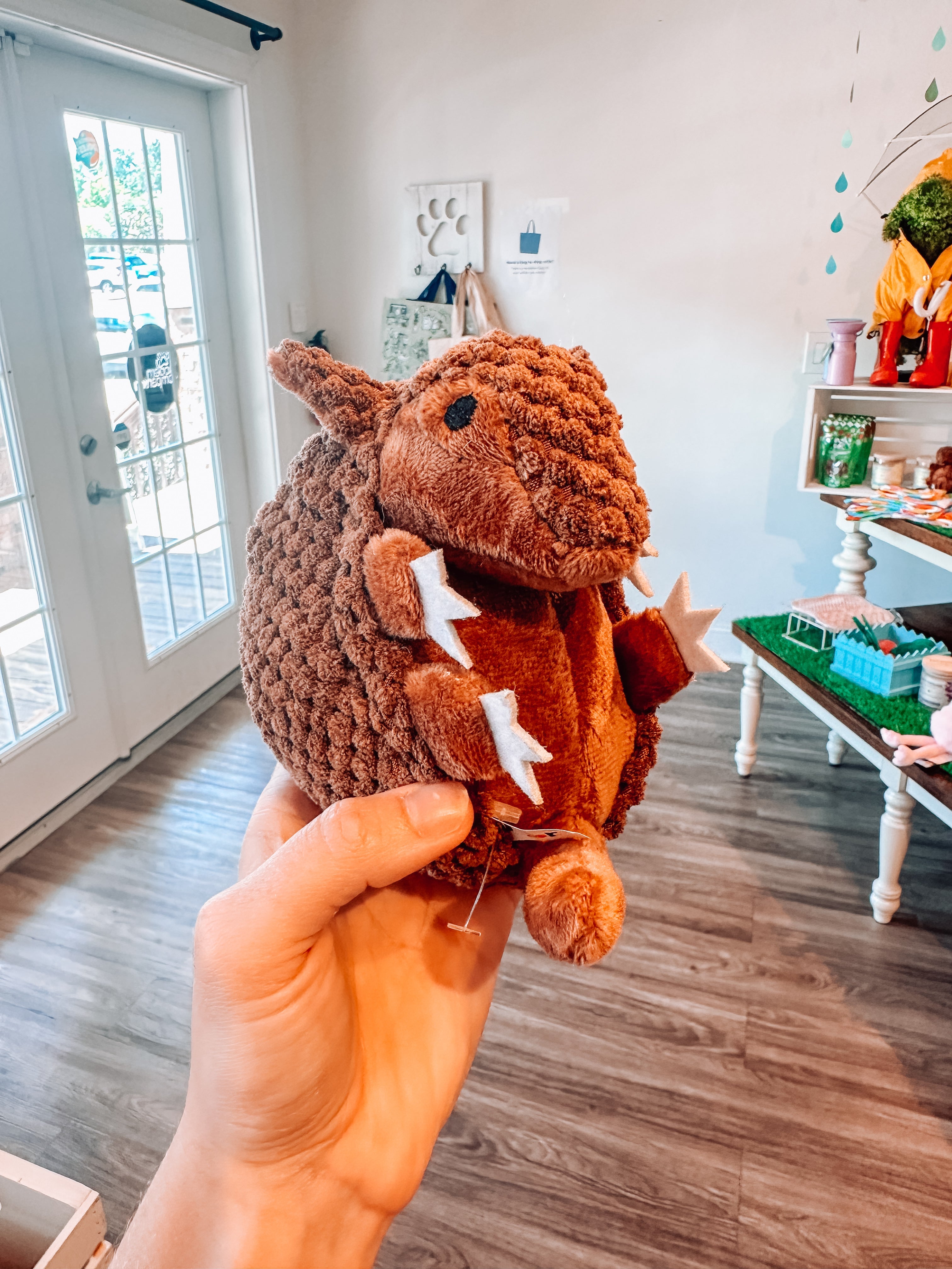 Armadillo 3 in 1 Toy - Modern Companion