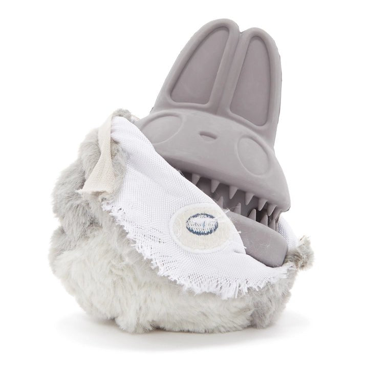 Bark Hare Raiser Rabbit - Modern Companion