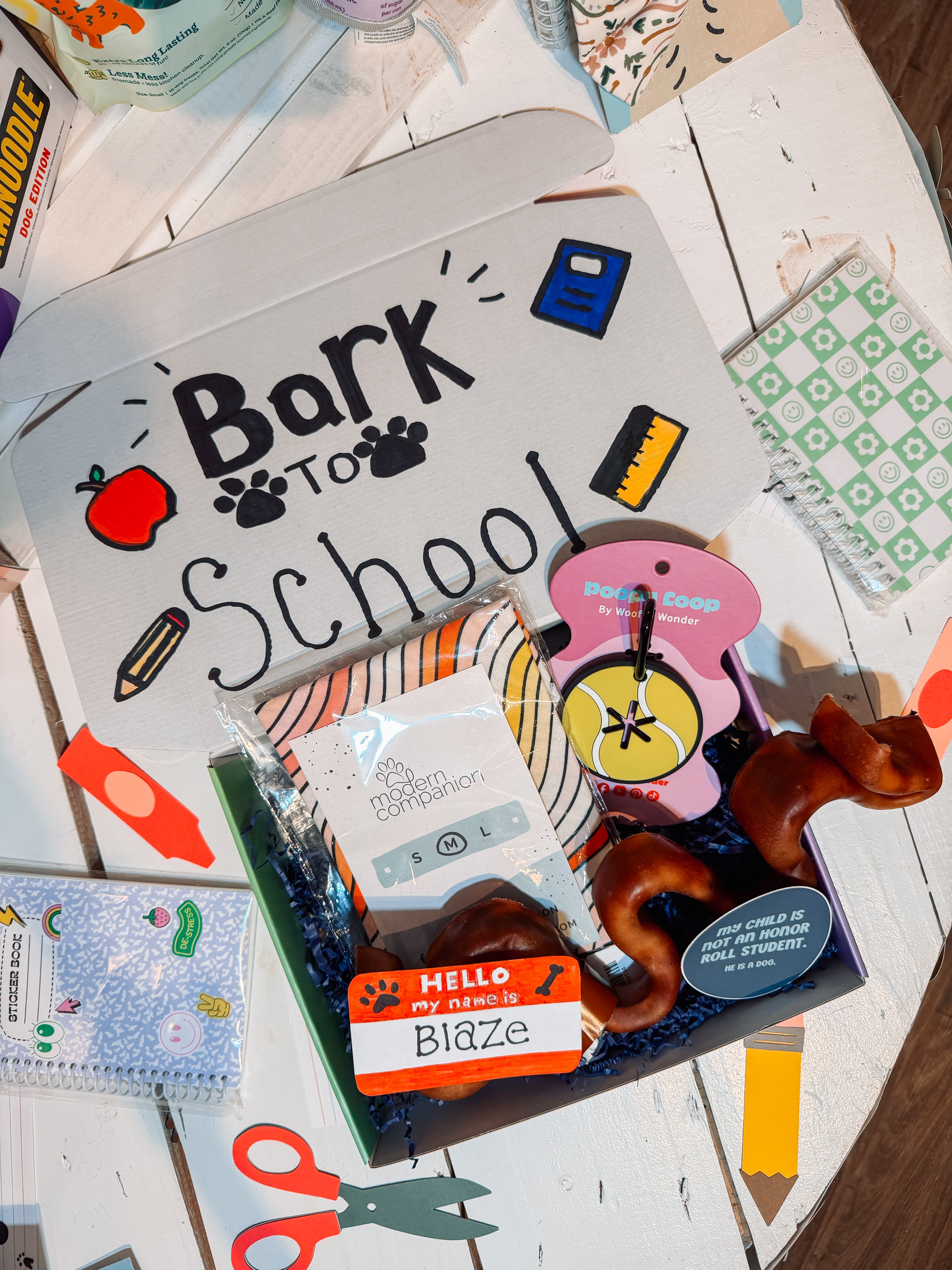 Bark to School Box - Modern Companion