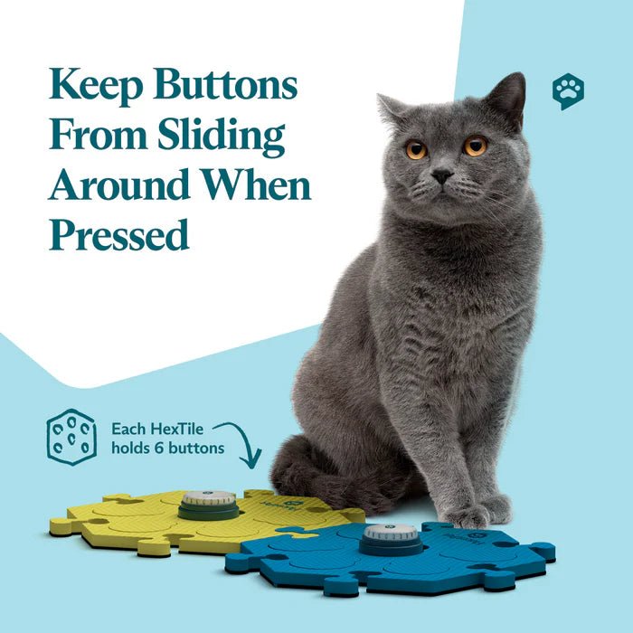 Basic Starter Kit - Talking Buttons - Modern Companion