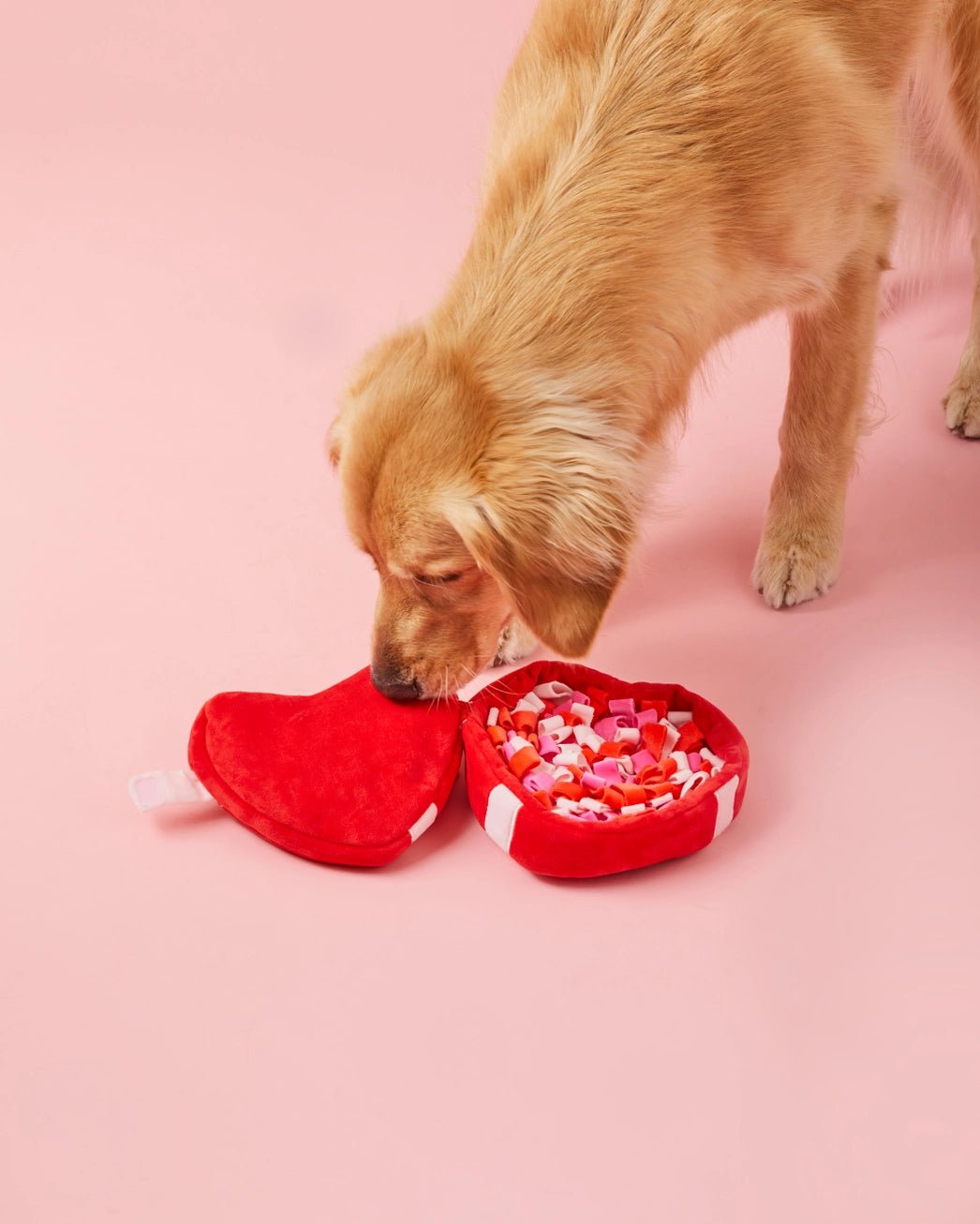 Be My Valentine Interactive Snuffle Dog Toy - Modern Companion
