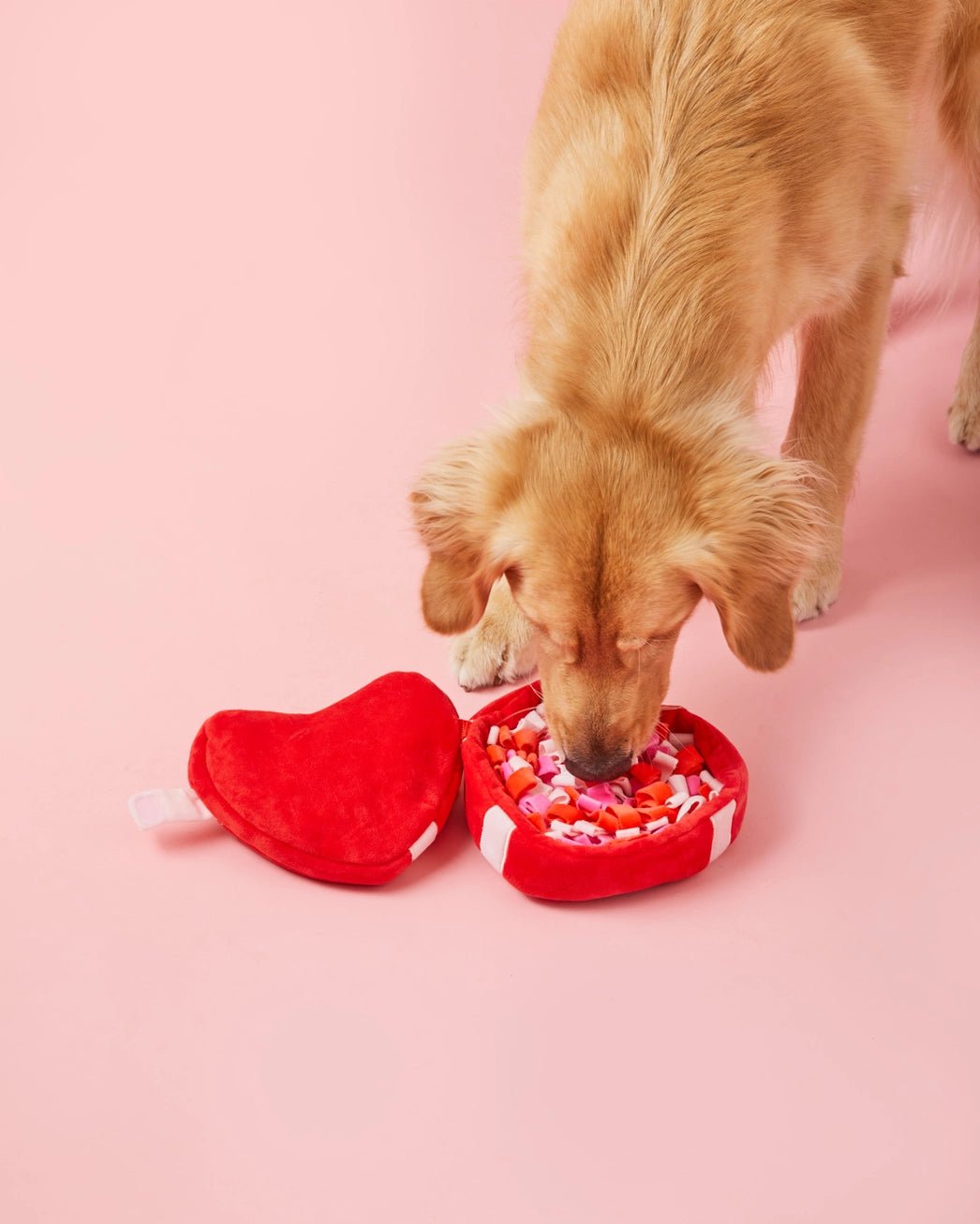 Be My Valentine Interactive Snuffle Dog Toy - Modern Companion