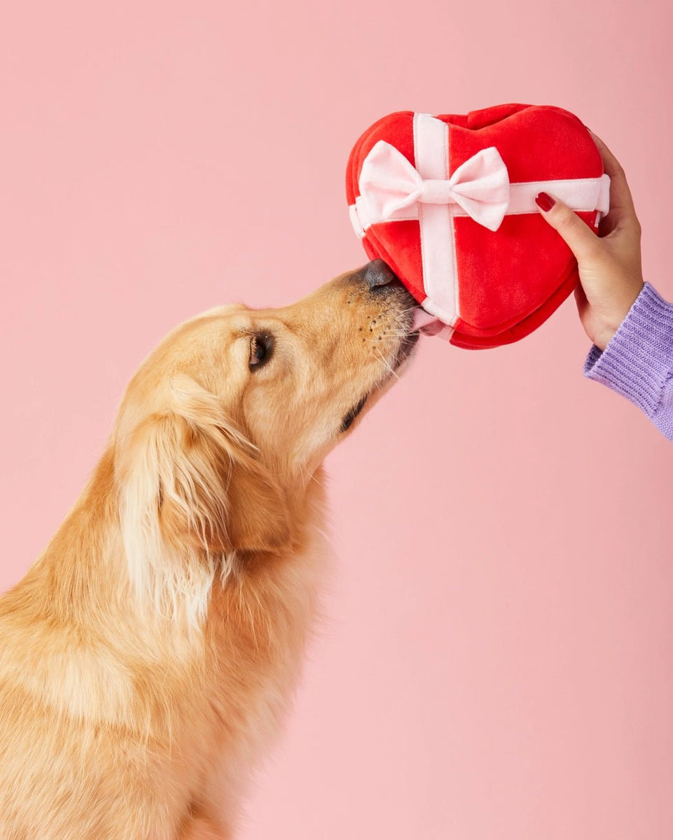 Be My Valentine Interactive Snuffle Dog Toy – Modern Companion
