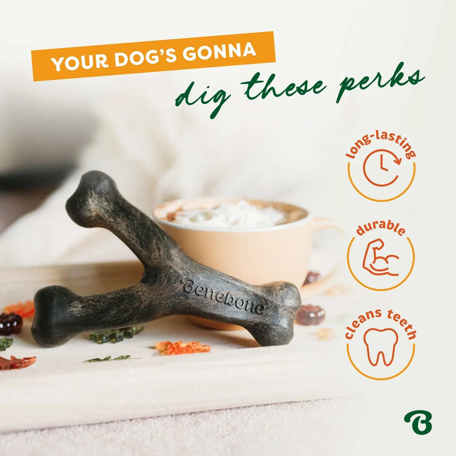 Benebone Wishbone Pumpkin Spice - Modern Companion