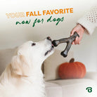 Benebone Wishbone Pumpkin Spice - Modern Companion