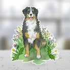 Bernese Mountain Dog Sticker - Modern Companion