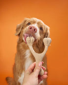 BetterBone Chew Toy - Modern Companion