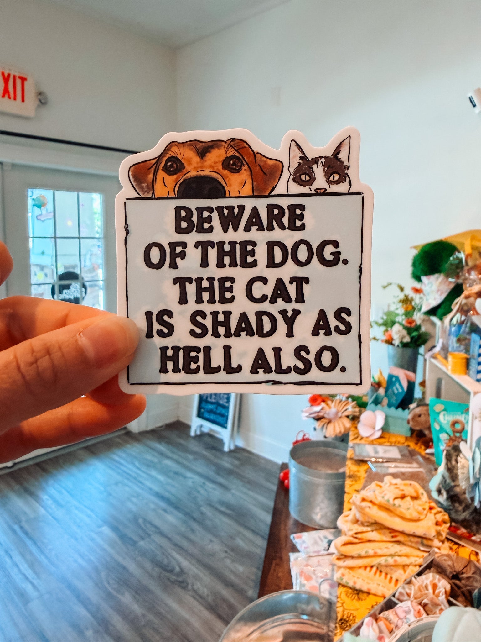 Beware of Dog. Cat Is Shady Sticker - Modern Companion