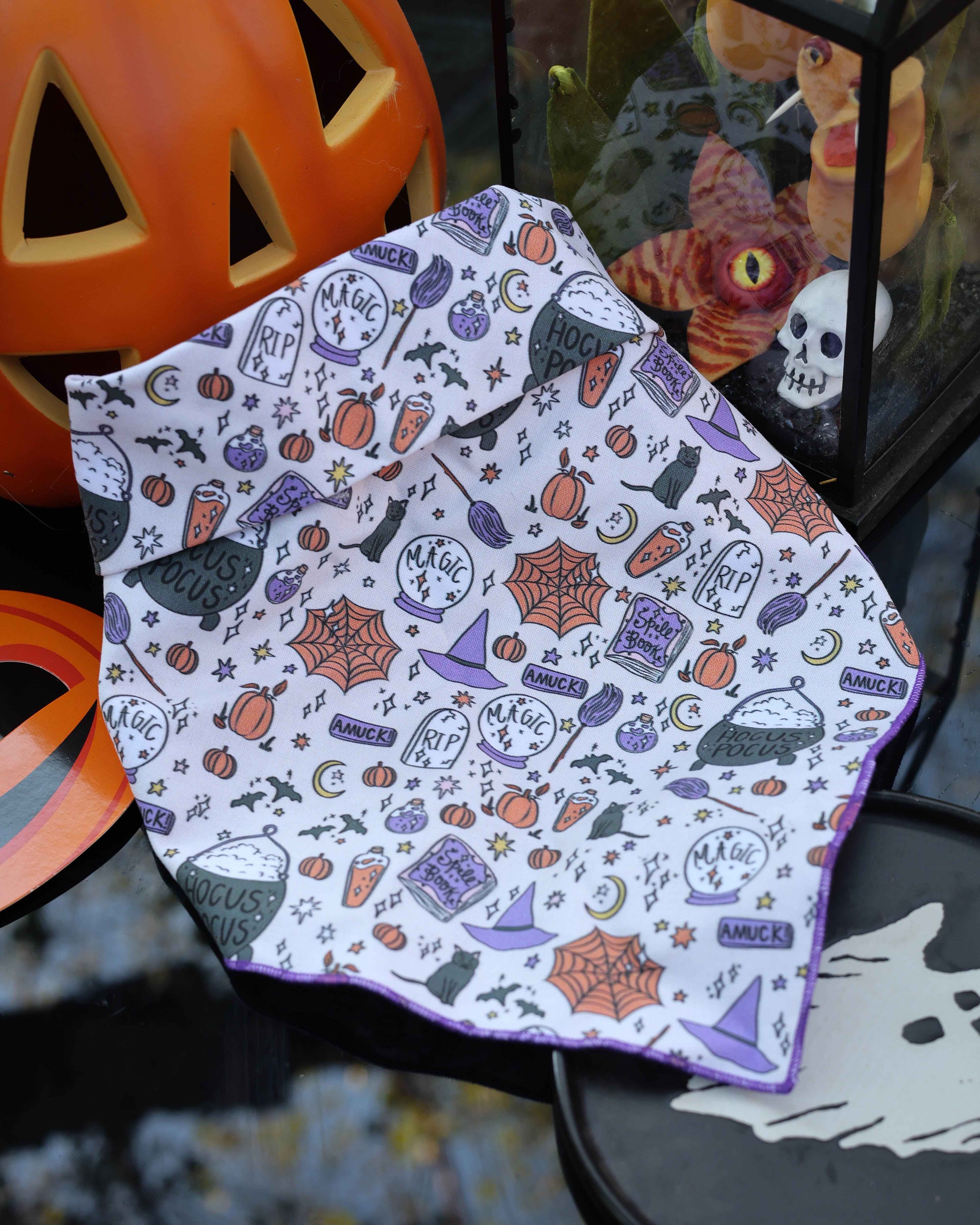 Binx Pet Bandana - Modern Companion