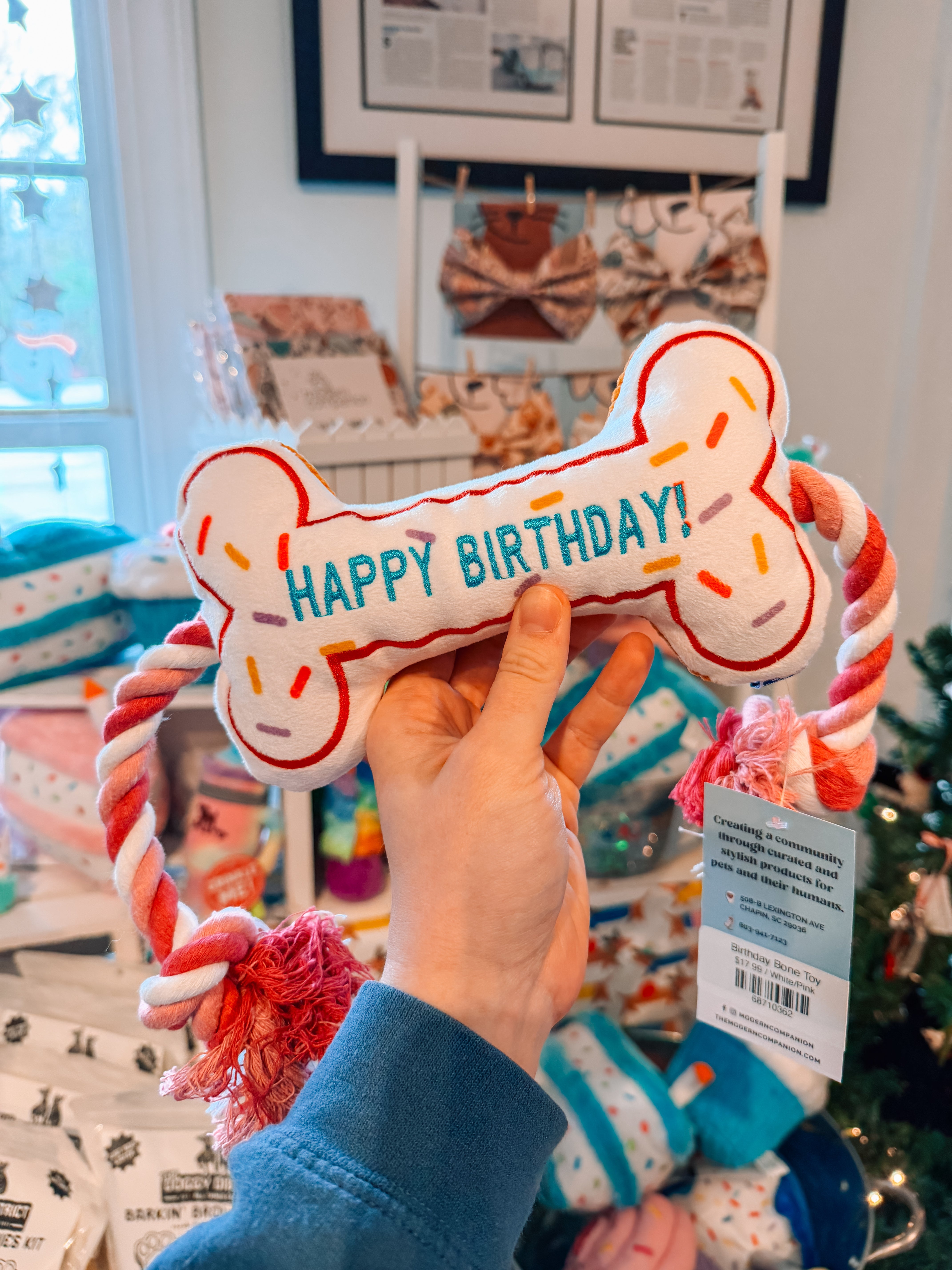 Birthday Bone Toy - Modern Companion