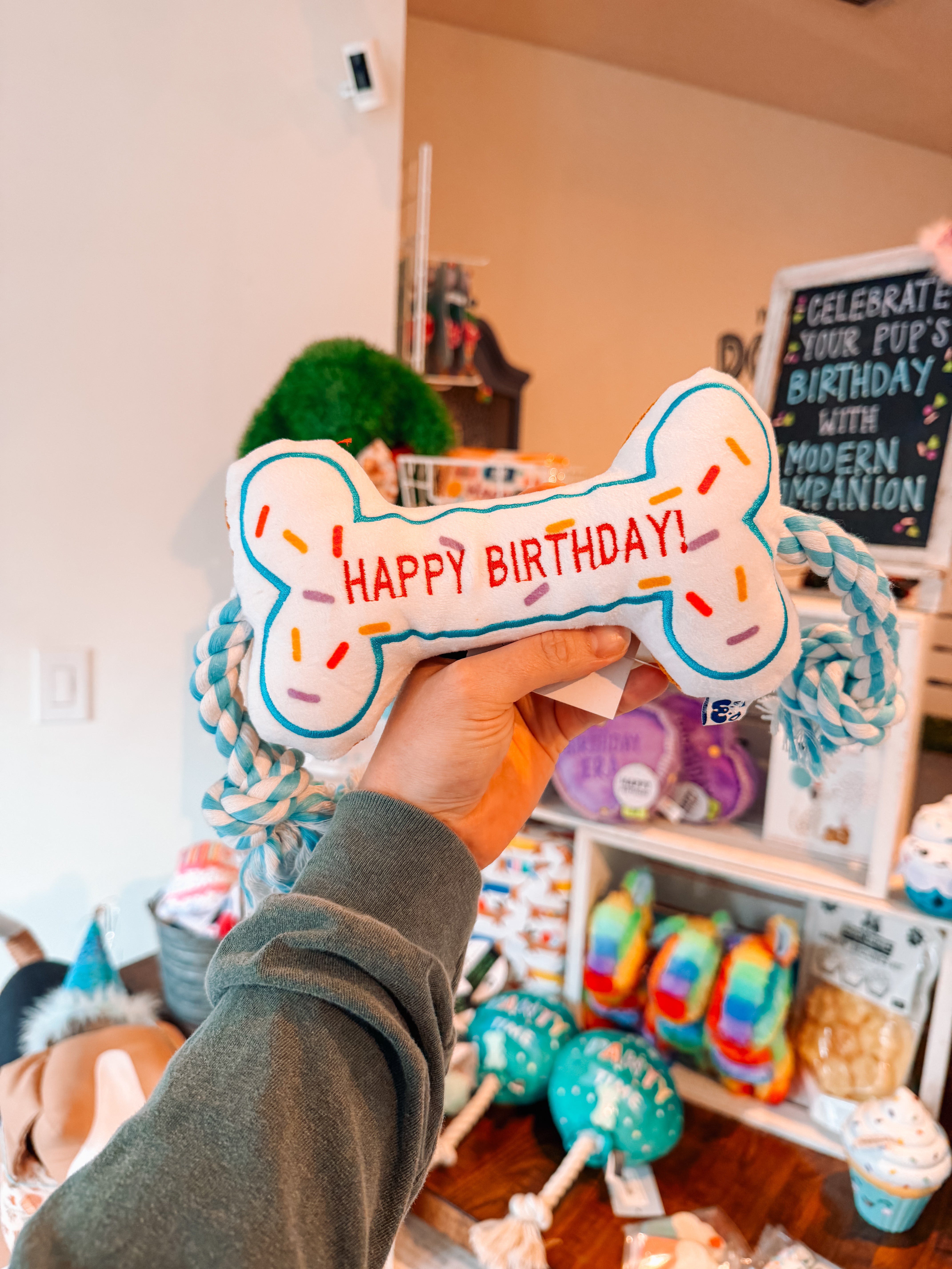 Birthday Bone Toy - Modern Companion