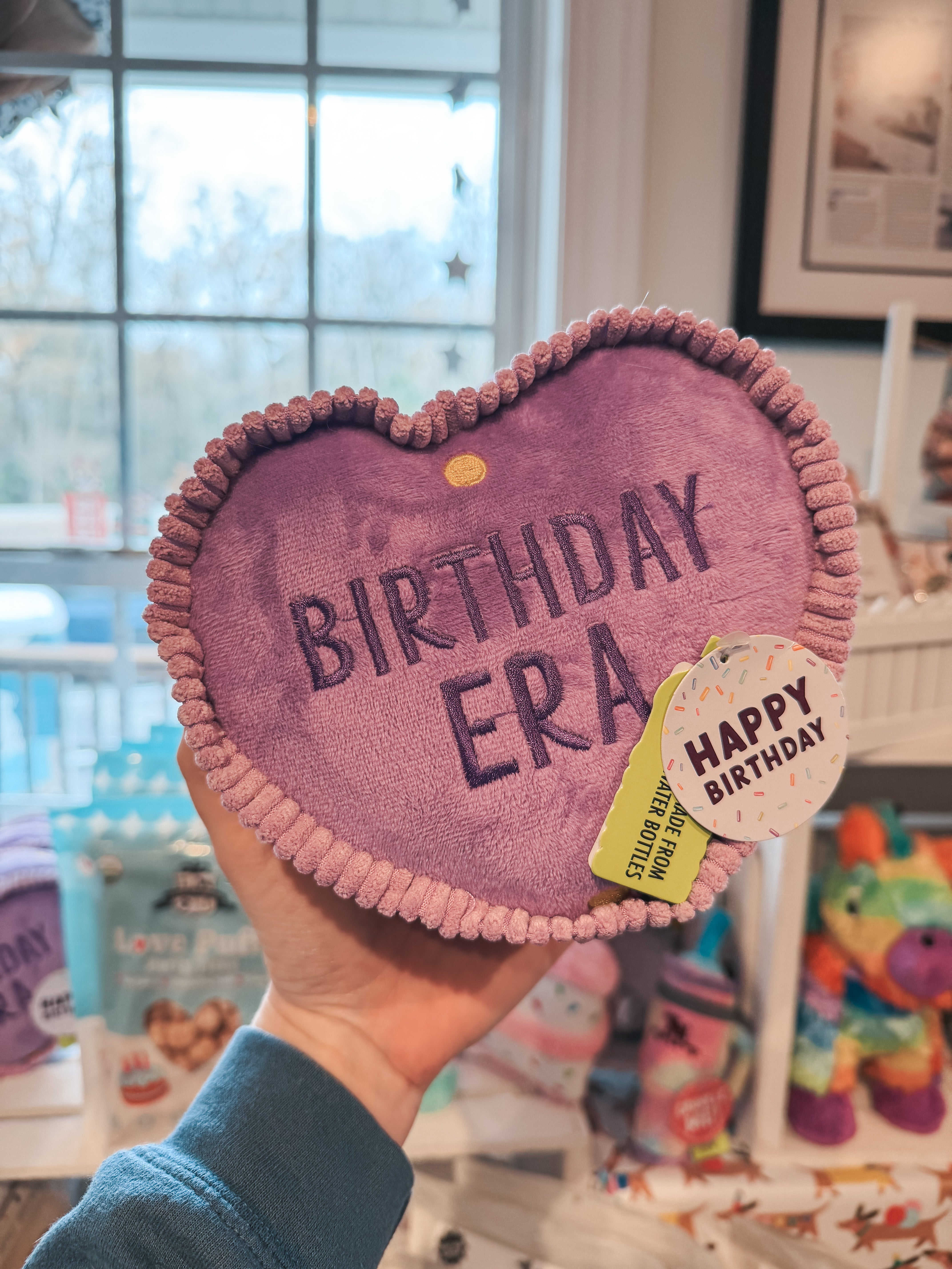 Birthday Era Plush Toy - Modern Companion