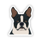 Black Boston Terrier Dog Sticker - Modern Companion