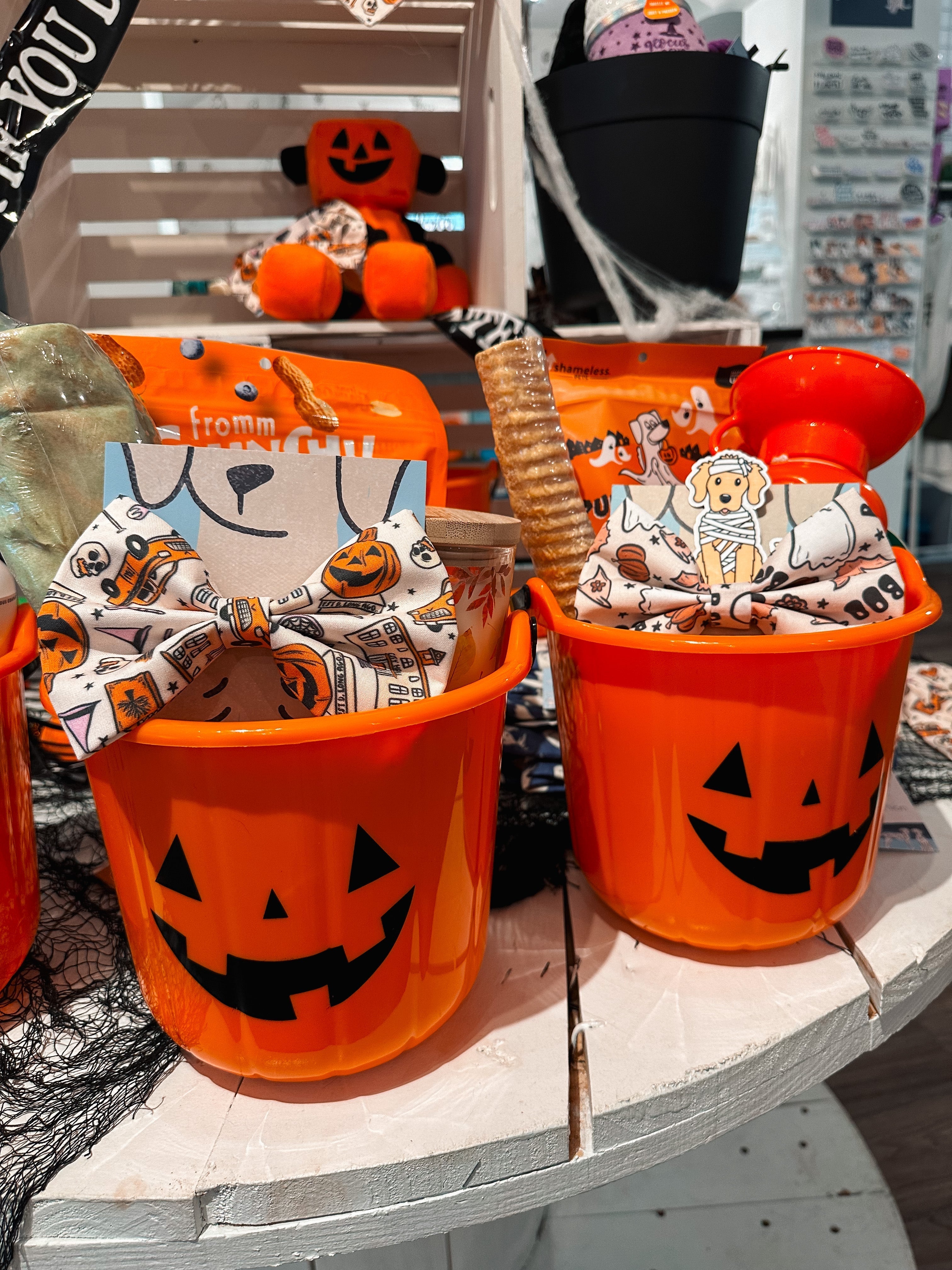 Boo Basket For Your Pet - Modern Companion