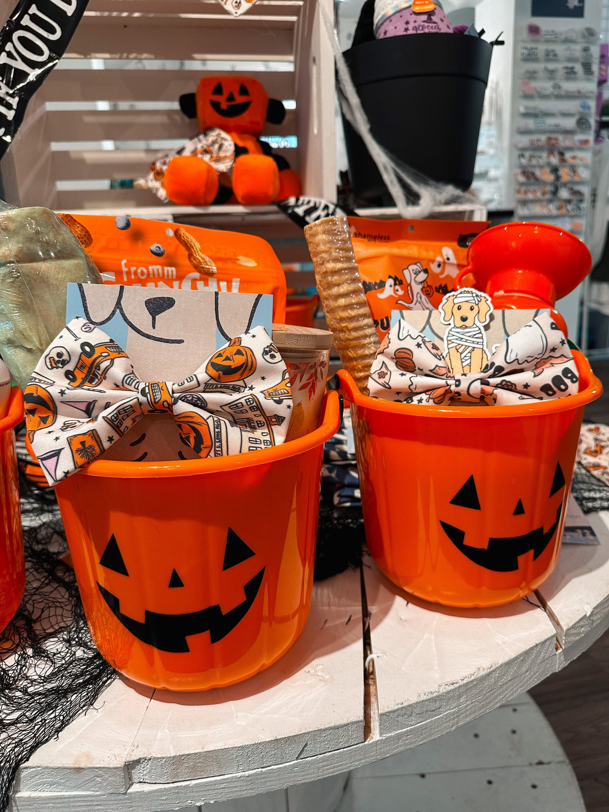 Boo Basket For Your Pet - Modern Companion