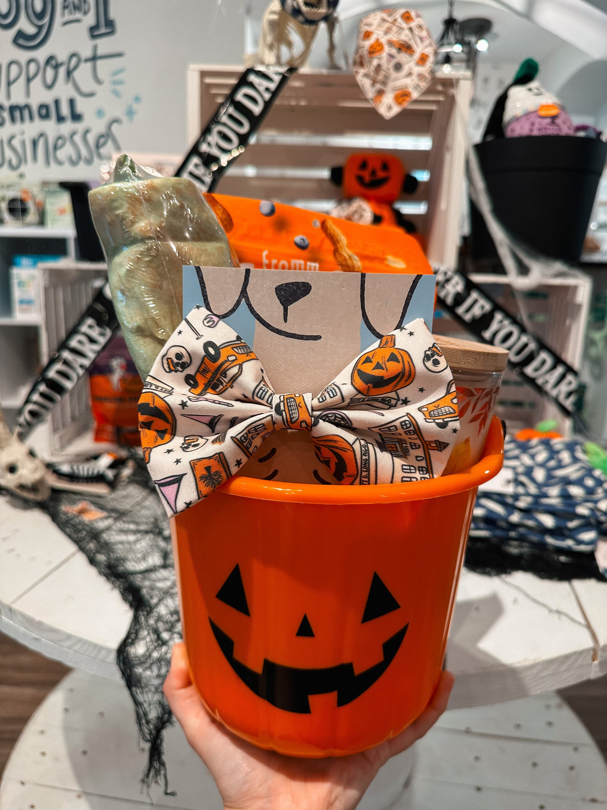 Boo Basket For Your Pet - Modern Companion