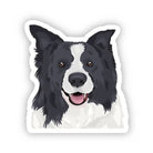 Border Collie Dog Vinyl Sticker - Modern Companion