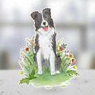 Border Collie Sticker - Modern Companion