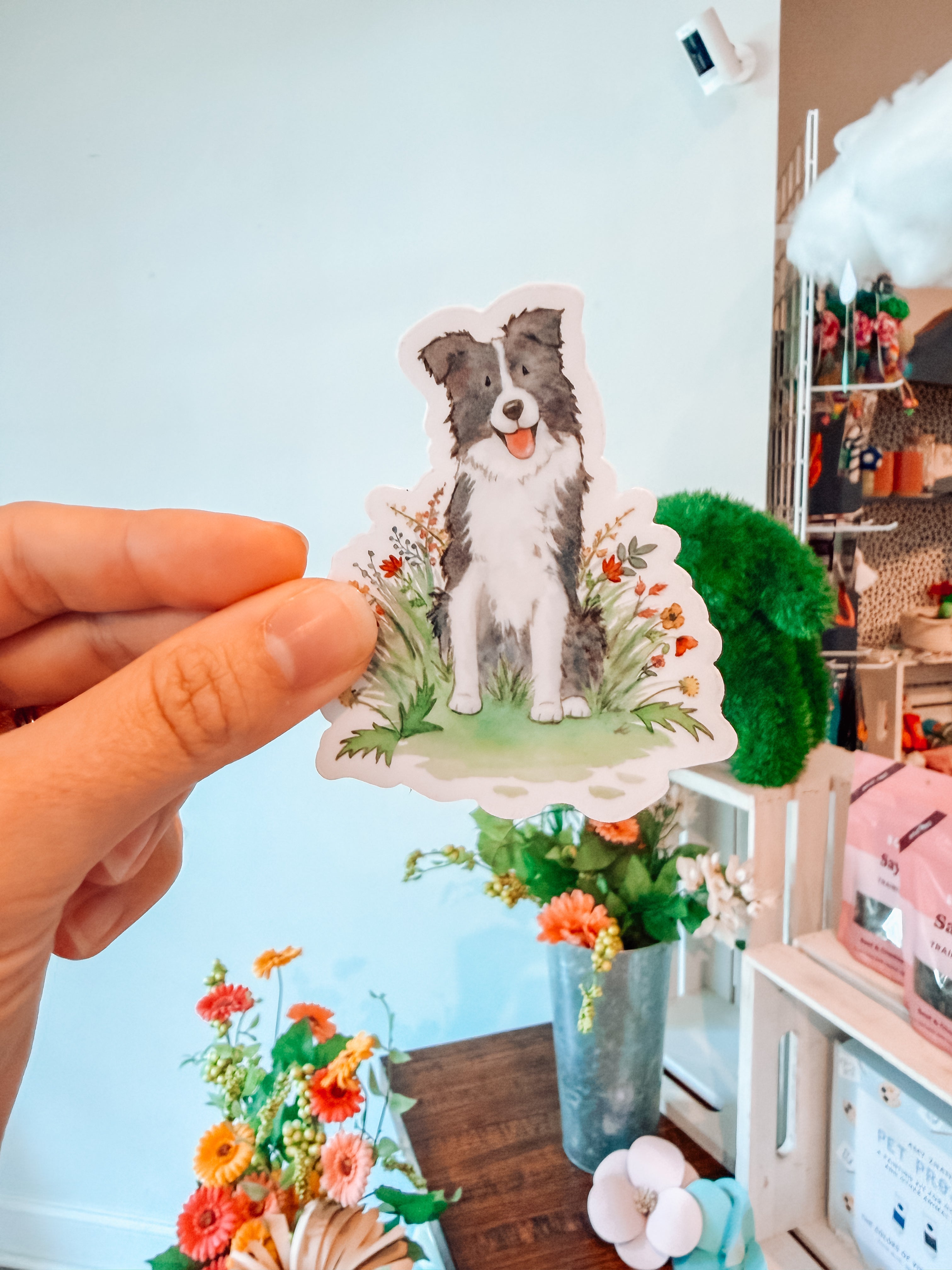 Border Collie Sticker - Modern Companion