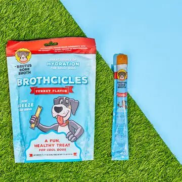 Brutus Broth Brothcicles 6-Pack Pouch - Modern Companion