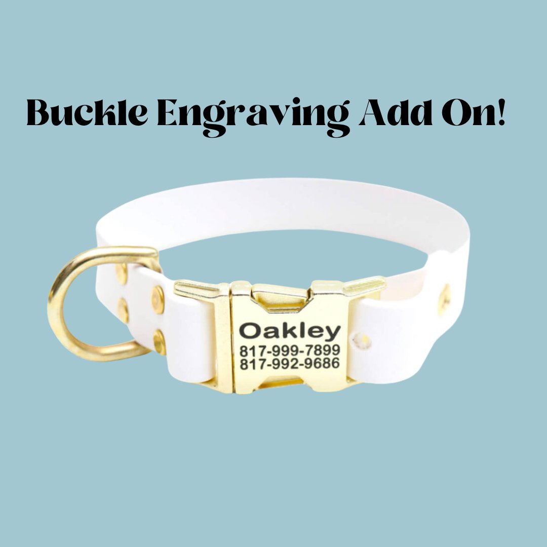 Buckle Collar Engraving Add on - Modern Companion