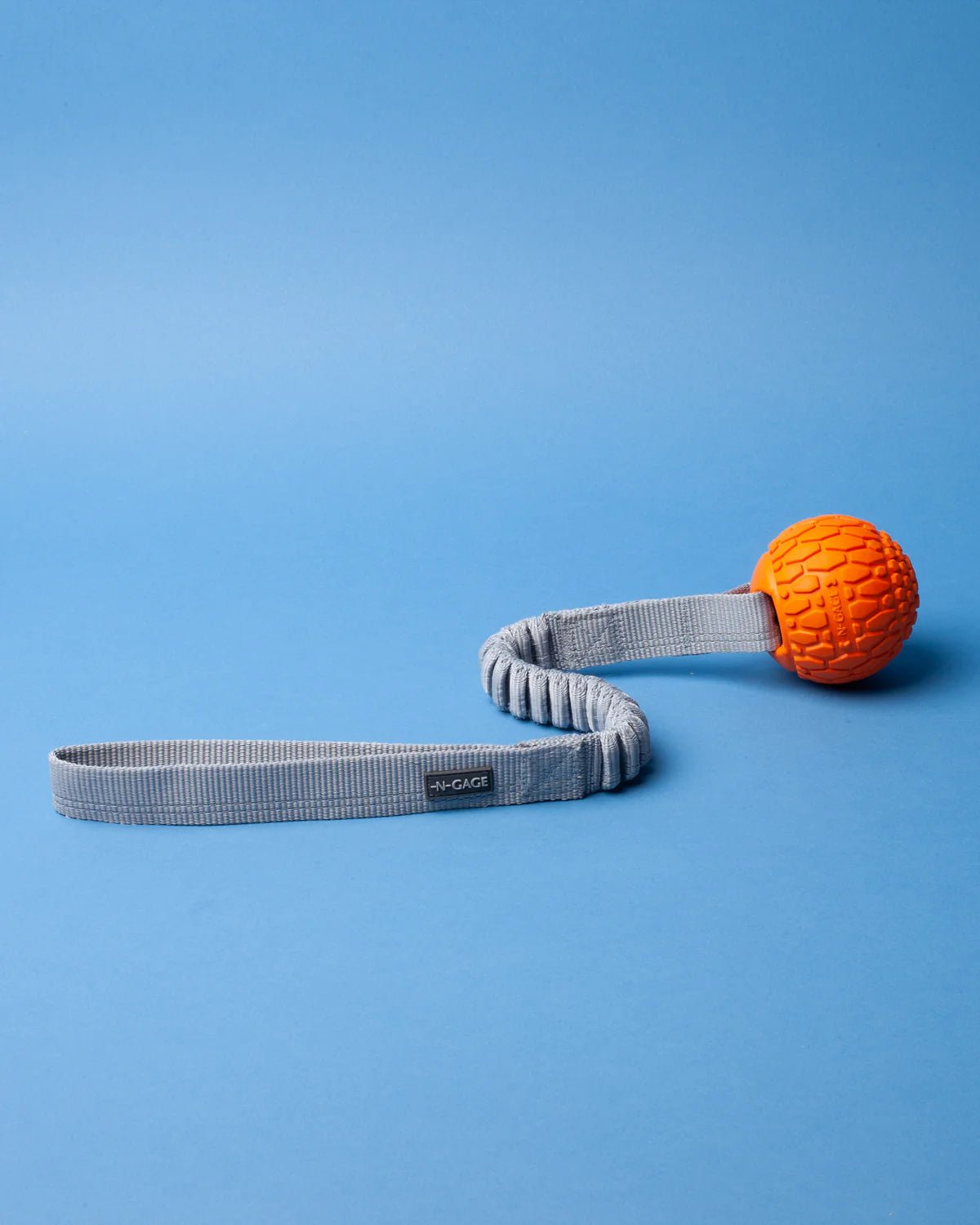 Bungee Handler Toy - Modern Companion