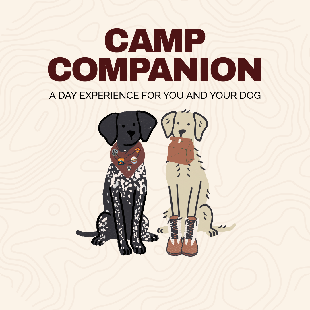 Camp Companion 2025 Ticket - Modern Companion