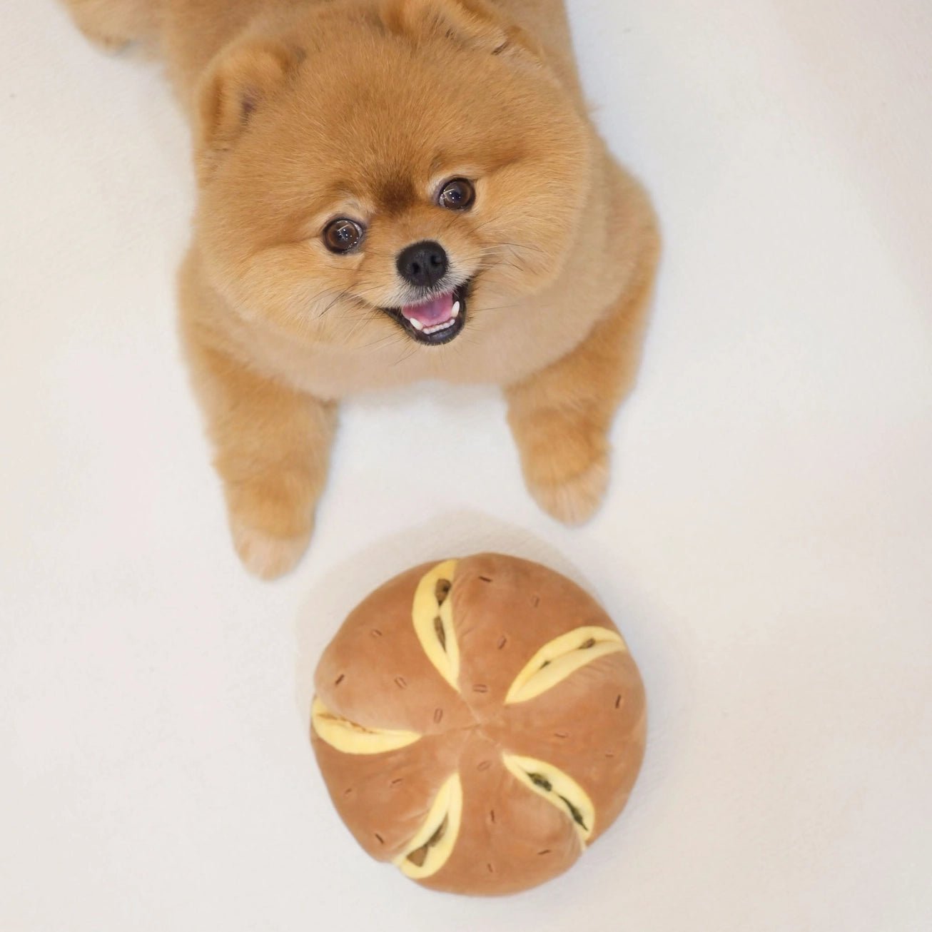 Cheesy Bread Nosework Enrichment Toy - Modern Companion
