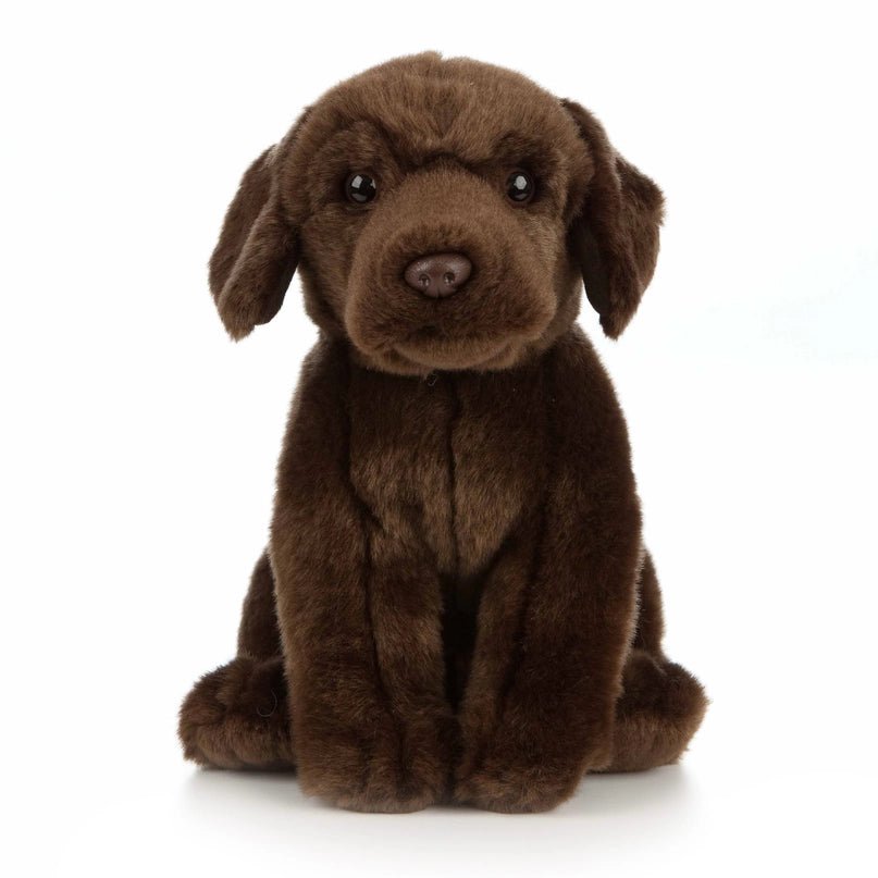 Chocolate Labrador Plush - Modern Companion