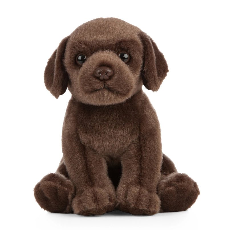 Chocolate Labrador Puppy Plush - Modern Companion